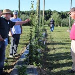 Ohio specialty crop — hops — could make a return