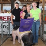 Stark gr county hog.JPG