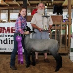 Stark gr county lamb