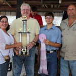 Stark res carcass lamb