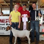 Stark res ch boer goat