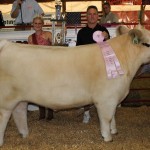Stark res steer