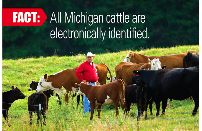 michigan electronic ID