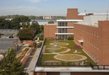 From tar to thyme: Green roof sprouting on Ohio State’s ag campus