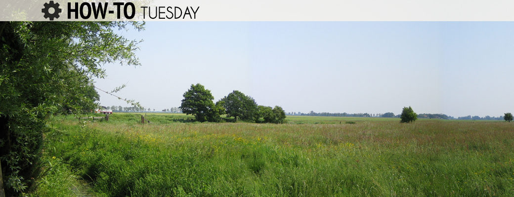 Assessing and improving your pasture for 2014 pasture land