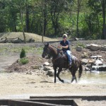 This isn’t your average horse park Horse training