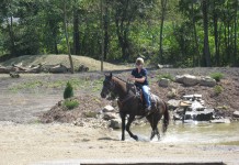 This isn’t your average horse park Horse training
