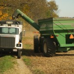 Look for USDA crop report Nov. 8