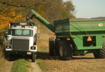 Look for USDA crop report Nov. 8