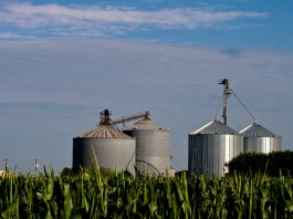 Marlin: New fear strikes at grain prices farm silo