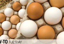 Freeze eggs to keep them longer how to freeze eggs