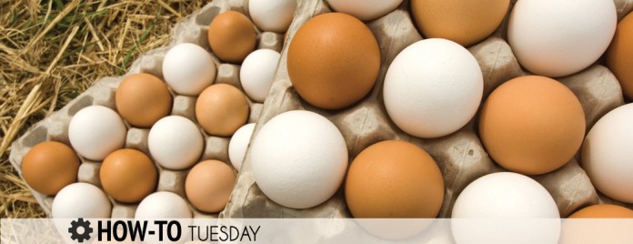 how to freeze eggs how to freeze eggs