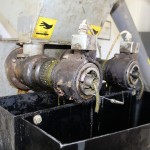 OARDC plots show oilseed crop potential