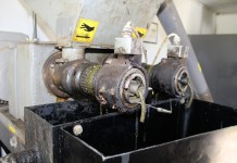 OARDC plots show oilseed crop potential