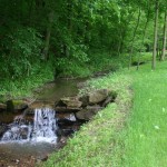 Rural stream