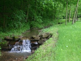 Rural stream
