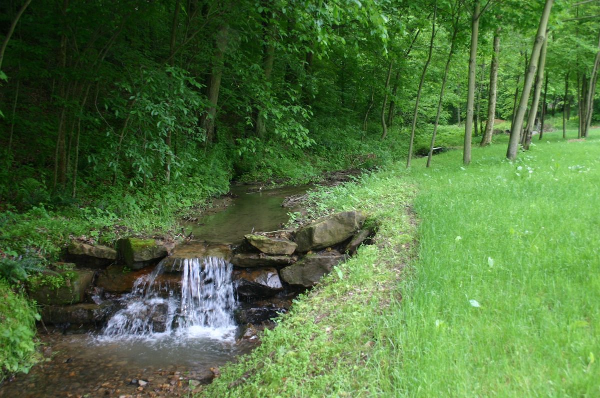 Rural stream