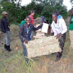African youth become haymaking entrepreneurs