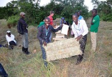African youth become haymaking entrepreneurs