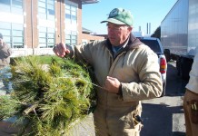 Christmas tree growers continue to send live trees to overseas troops