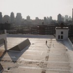 Brooklyn Farmer: New York’s urban farming scene is growing roots