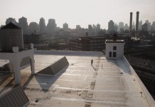 Brooklyn Farmer: New York’s urban farming scene is growing roots