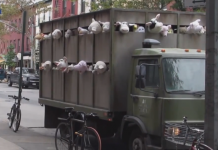 British graffiti artist Banksy takes on meat industry Banksy, Sirens of the Lambs