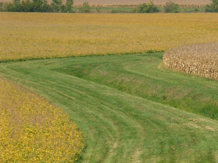 corn soybeans waterway conservation