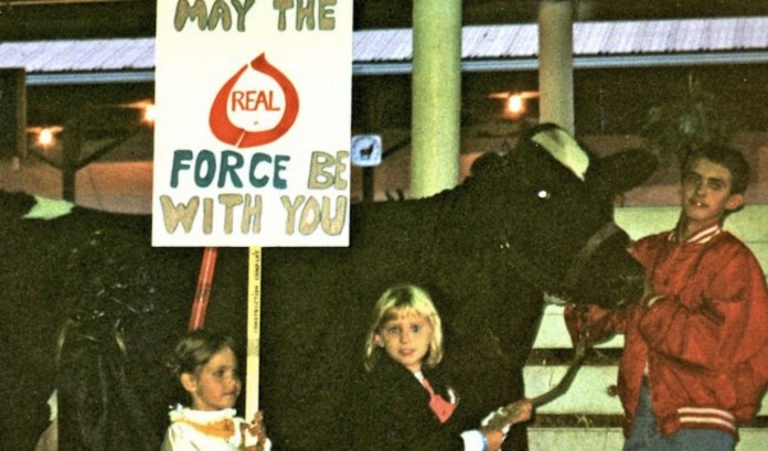 dress a cow.real seal.1200