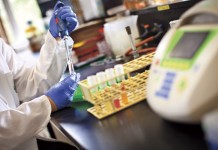 Smithsonian explores beginnings of biotechnology in new display science