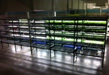 Vertical farm to establish operations in eastern Pennsylvania