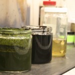 Making crude oil: Million-year natural process takes minutes in the lab