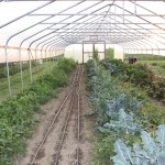 Pa. governor signs bill that classifies high tunnels as ‘temporary structures’