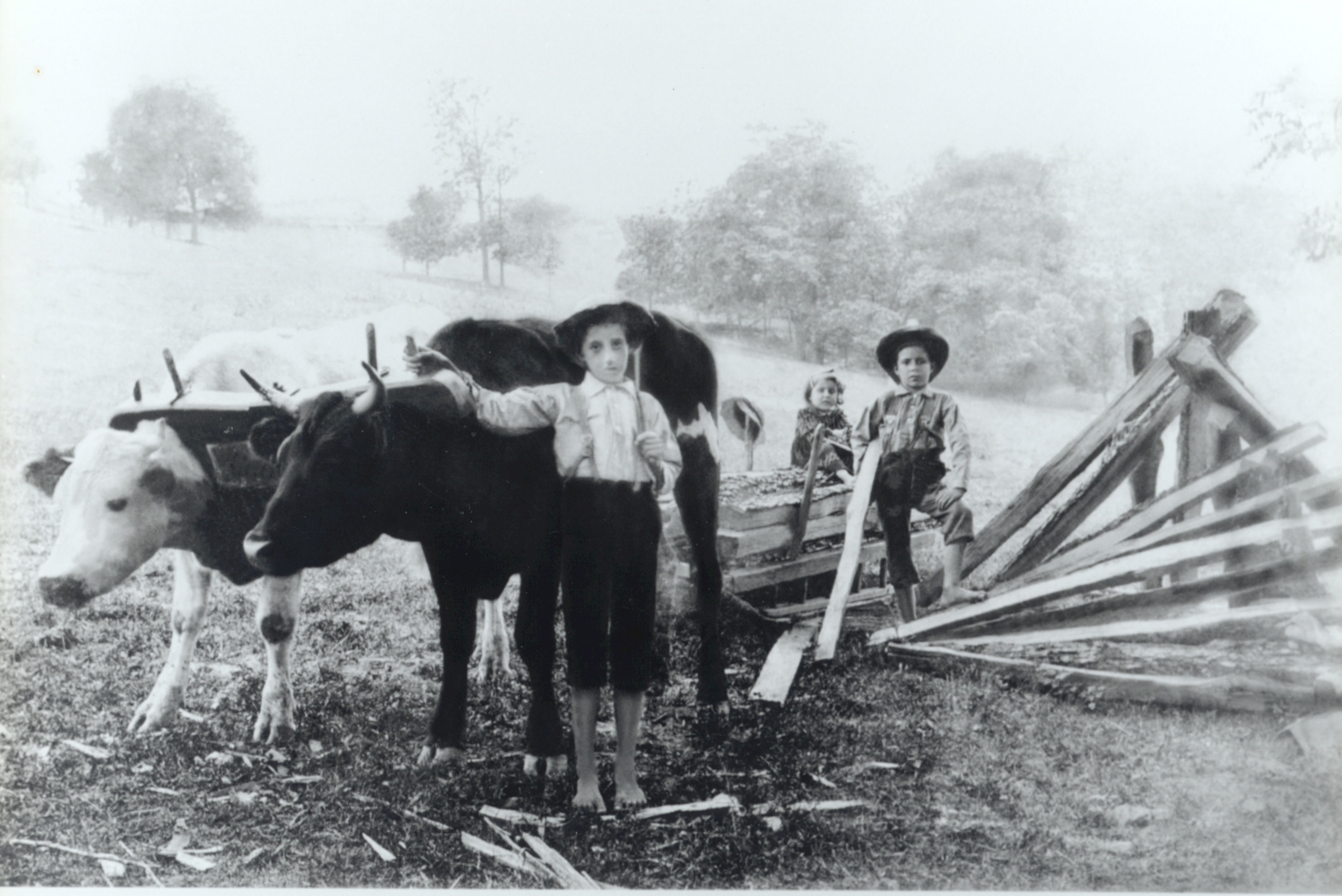 Vintage farm photo, Brunner Farm