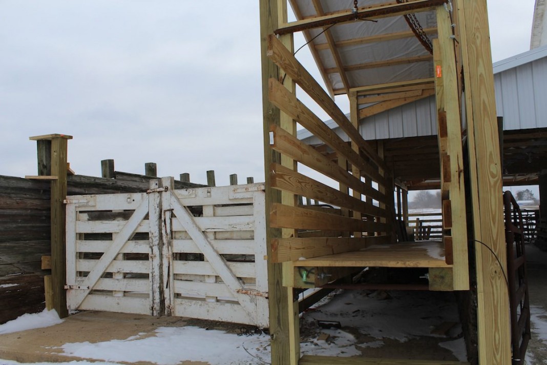 Mount Vernon livestock auction moves location Farm and Dairy