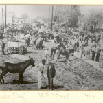 “Mule Day” in the 1940s