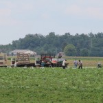 Online class helps those who employ Latinos