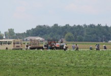 Online class helps those who employ Latinos