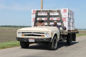 Farm workers transporting produce on the back of a truck. 