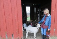 Why I became a young farmer