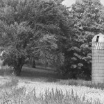 Is rural America struggling? Rural population decline reflects impact of recession