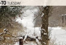 Staying warm during cold weather