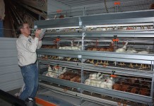 Pa. Farm Show ‘Today’s Agriculture’ exhibit exposes what really happens on farms today