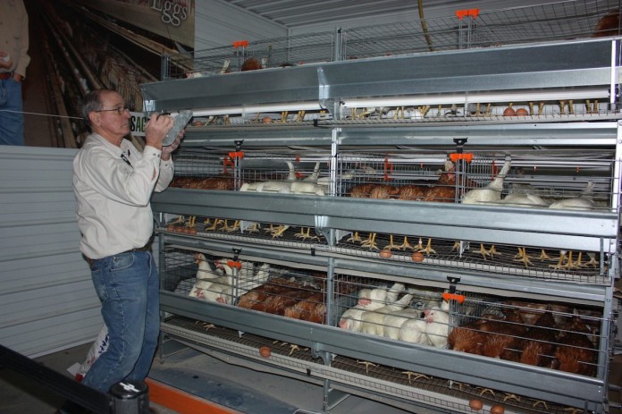 farm show.heberlig copy