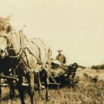 A horse team in 1925