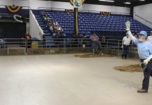 That’s a ringer! Horseshoe pitchers say that sound is everything