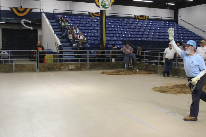 horseshoe competition:David Young