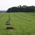 Even though it’s winter, there’s still plenty of pasture work to be done