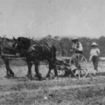 Cultivating corn, father and son
