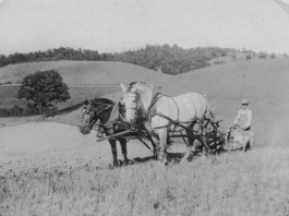 A story waiting to be told: Part 2